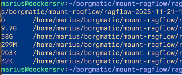Borgmatic / Bash CI / git-crypt and key management